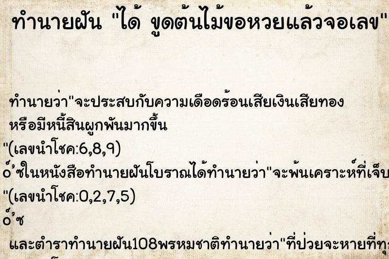 ทำนายฝันได้ขูดต้นไม้ขอหวยแล้วจอเลข ทำนายฝันทำนายฝันได้ขูดต้นไม้ขอหวยแล้วจอเลข